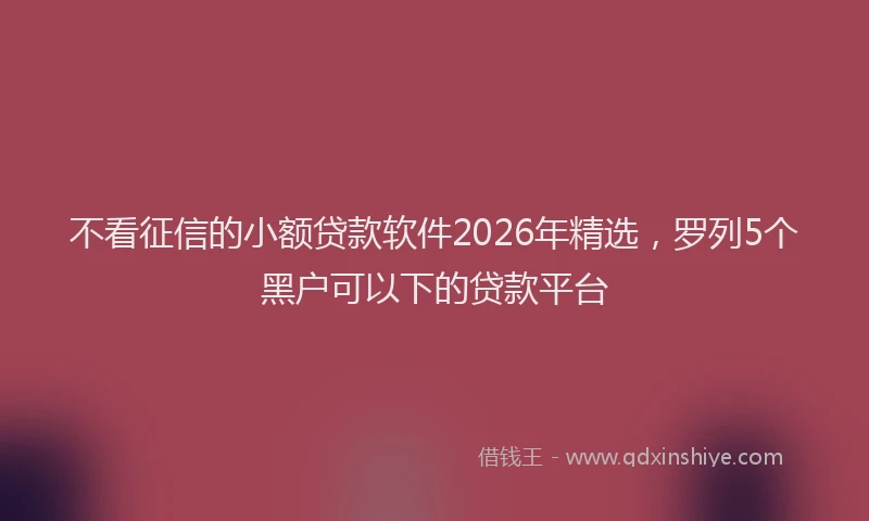 不看征信的小额贷款软件2026年精选，罗列5个黑户可以下的贷款平台