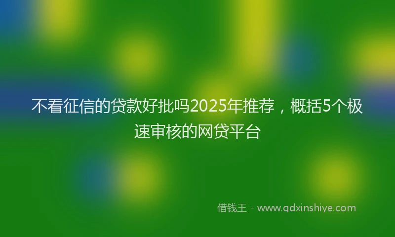 不看征信的贷款好批吗2025年推荐，概括5个极速审核的网贷平台