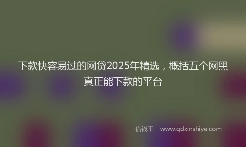 下款快容易过的网贷2025年精选，概括五个网黑真正能下款的平台