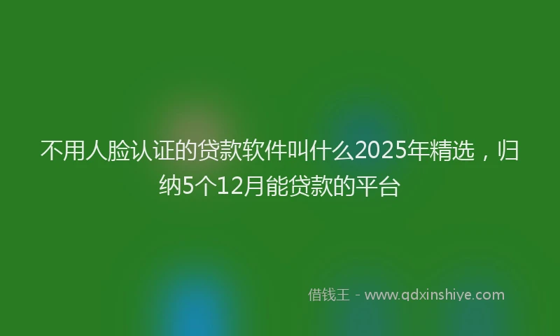 不用人脸认证的贷款软件叫什么2025年精选,归纳5个12月能贷款的平台
