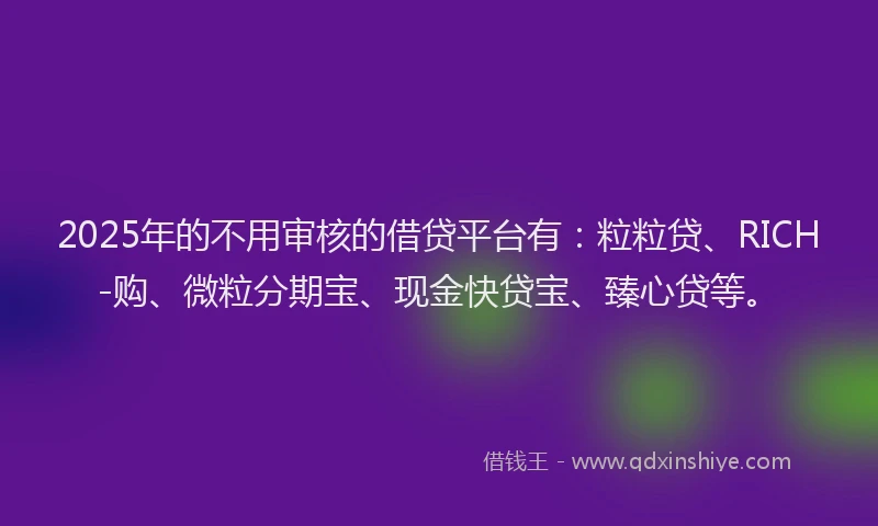2025年的不用审核的借贷平台有：粒粒贷、RICH-购、微粒分期宝、现金快贷宝、臻心贷等。