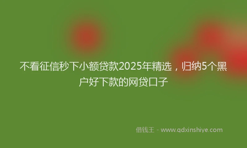 不看征信秒下小额贷款2025年精选，归纳5个黑户好下款的网贷口子