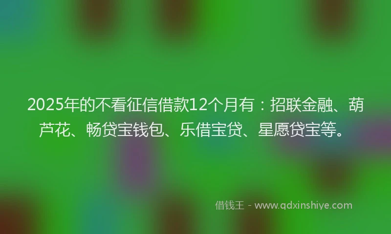2025年的不看征信借款12个月有：招联金融、葫芦花、畅贷宝钱包、乐借宝贷、星愿贷宝等。