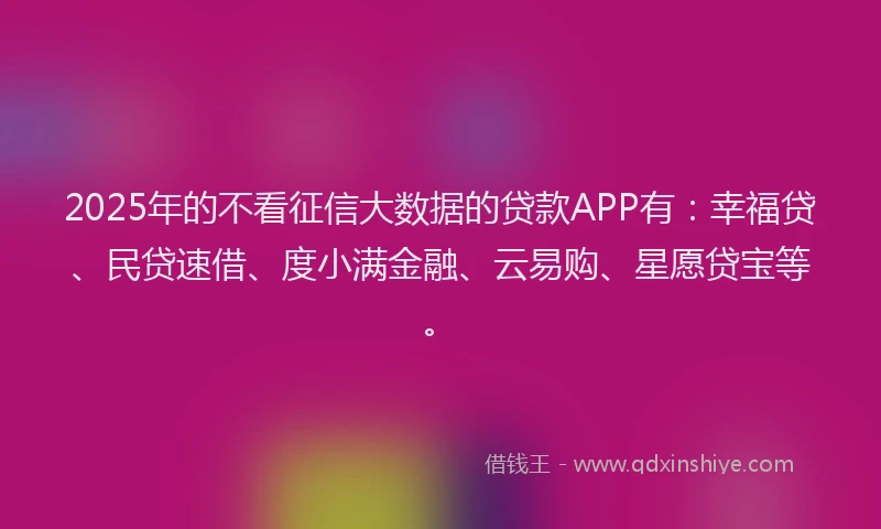 2025年的不看征信大数据的贷款APP有：幸福贷、民贷速借、度小满金融、云易购、星愿贷宝等。