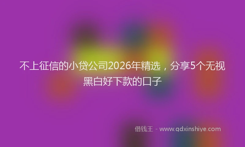 不上征信的小贷公司2026年精选，分享5个无视黑白好下款的口子