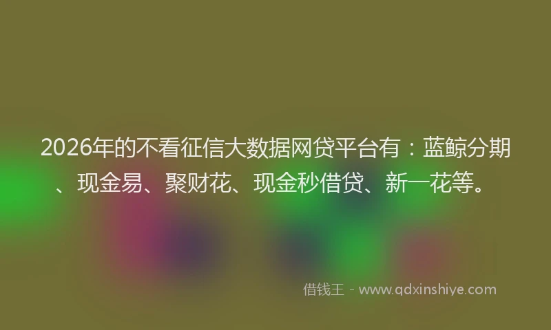 2026年的不看征信大数据网贷平台有：蓝鲸分期、现金易、聚财花、现金秒借贷、新一花等。