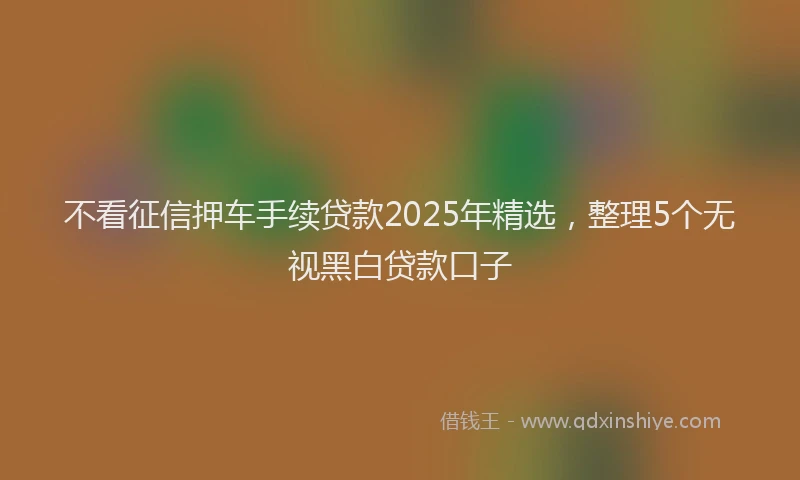 不看征信押车手续贷款2025年精选，整理5个无视黑白贷款口子