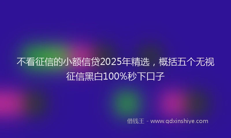 不看征信的小额信贷2025年精选，概括五个无视征信黑白100%秒下口子