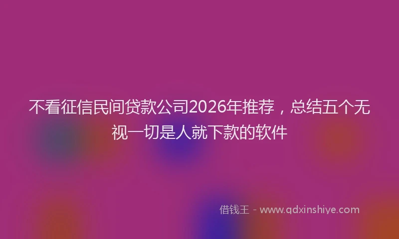 不看征信民间贷款公司2026年推荐，总结五个无视一切是人就下款的软件