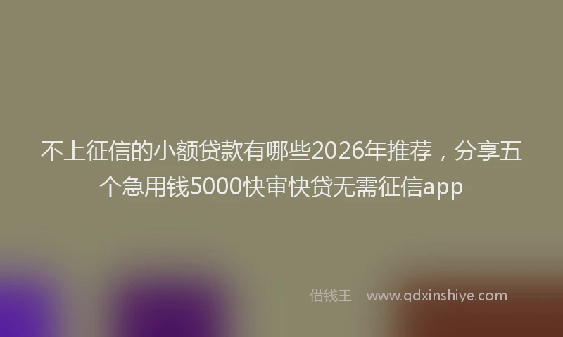 不上征信的小额贷款有哪些2026年推荐，分享五个急用钱5000快审快贷无需征信app