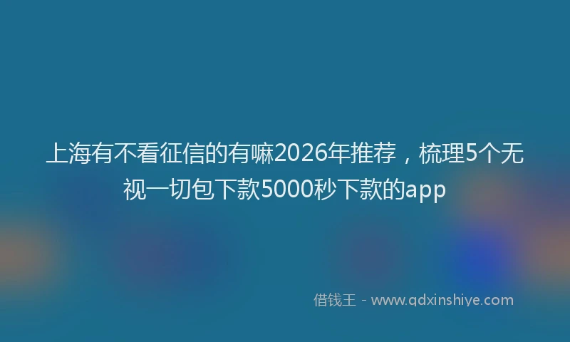 上海有不看征信的有嘛2026年推荐，梳理5个无视一切包下款5000秒下款的app