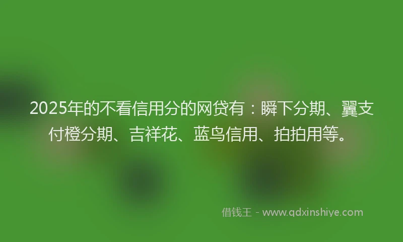 2025年的不看信用分的网贷有:瞬下分期、翼支付橙分期、吉祥花、蓝鸟信用、拍拍用等。