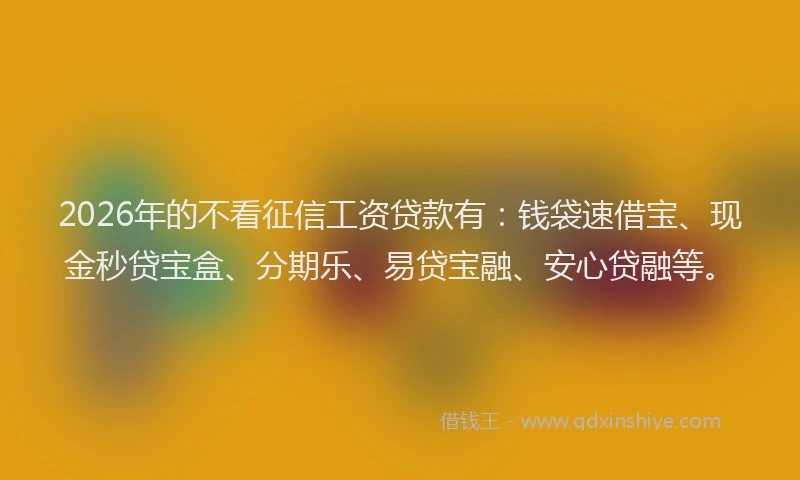 2026年的不看征信工资贷款有：钱袋速借宝、现金秒贷宝盒、分期乐、易贷宝融、安心贷融等。