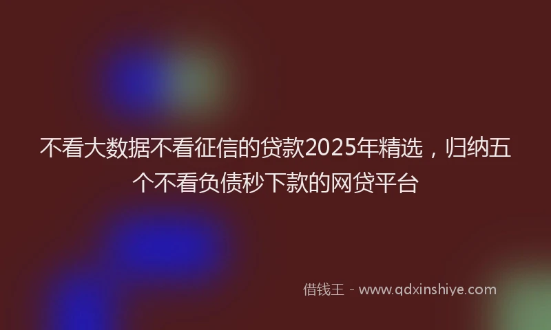 不看大数据不看征信的贷款2025年精选，归纳五个不看负债秒下款的网贷平台