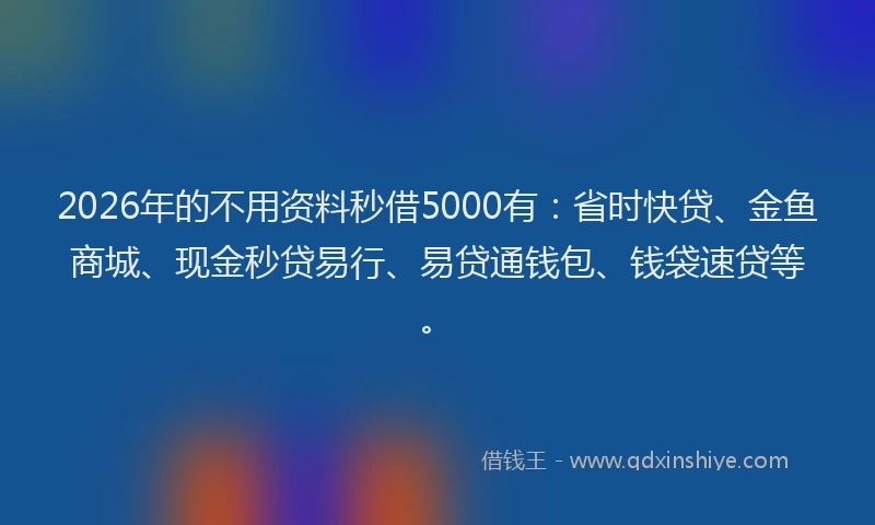 2026年的不用资料秒借5000有：省时快贷、金鱼商城、现金秒贷易行、易贷通钱包、钱袋速贷等。