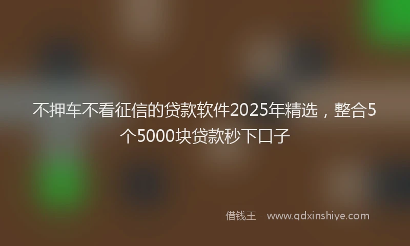 不押车不看征信的贷款软件2025年精选，整合5个5000块贷款秒下口子
