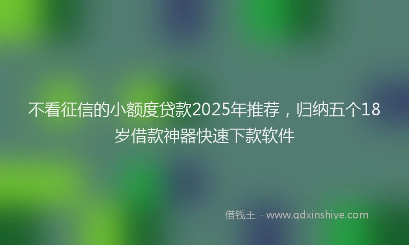 不看征信的小额度贷款2025年推荐，归纳五个18岁借款神器快速下款软件