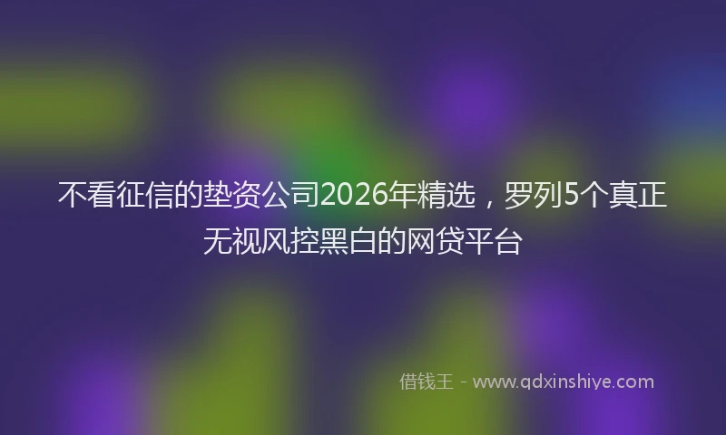 不看征信的垫资公司2026年精选，罗列5个真正无视风控黑白的网贷平台
