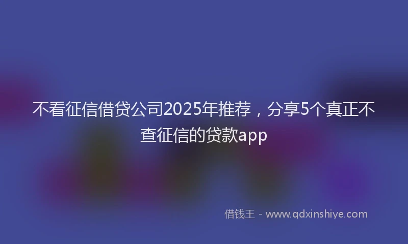 不看征信借贷公司2025年推荐，分享5个真正不查征信的贷款app