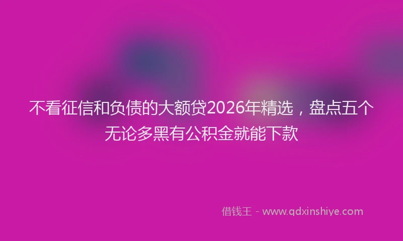 不看征信和负债的大额贷2026年精选,盘点五个无论多黑有公积金就能下款