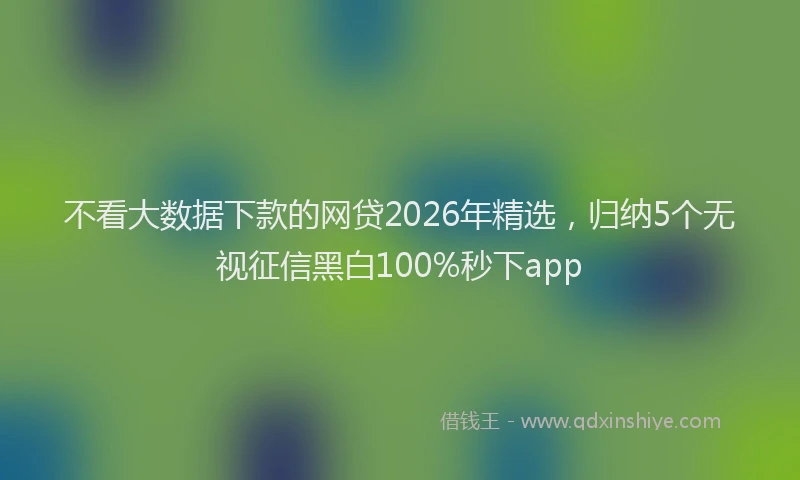 不看大数据下款的网贷2026年精选,归纳5个无视征信黑白100%秒下app