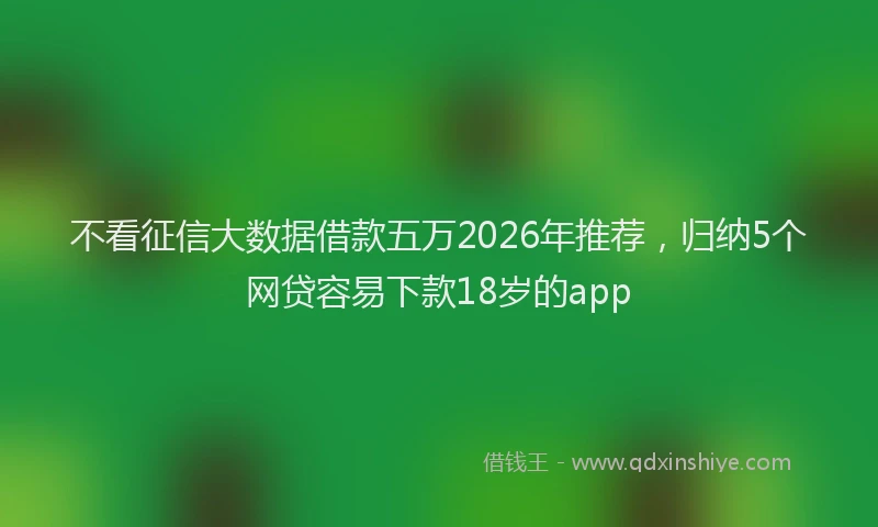 不看征信大数据借款五万2026年推荐，归纳5个网贷容易下款18岁的app
