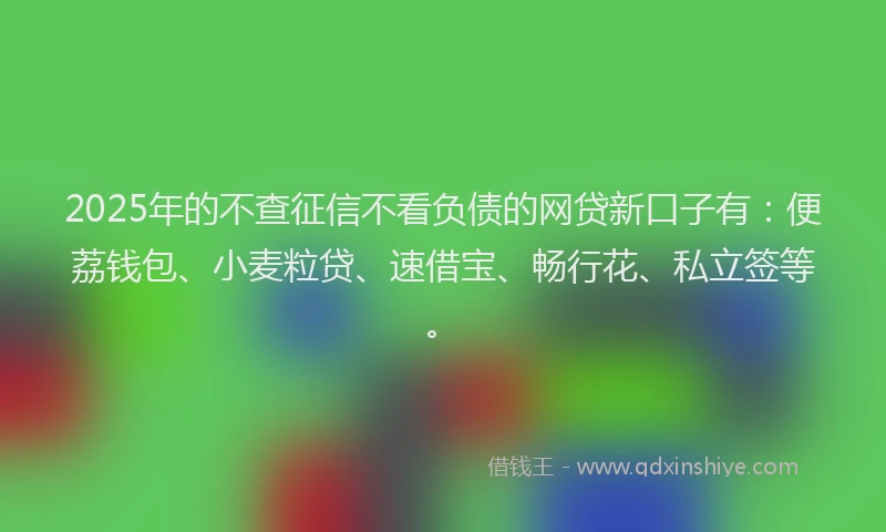 2025年的不查征信不看负债的网贷新口子有：便荔钱包、小麦粒贷、速借宝、畅行花、私立签等。
