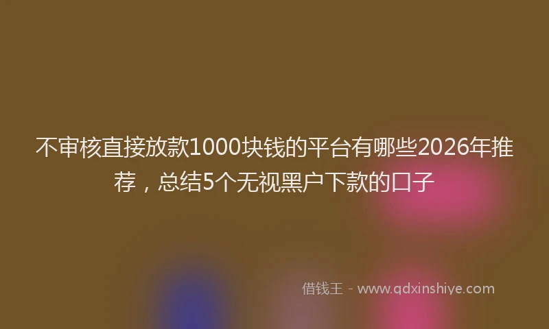 不审核直接放款1000块钱的平台有哪些2026年推荐，总结5个无视黑户下款的口子
