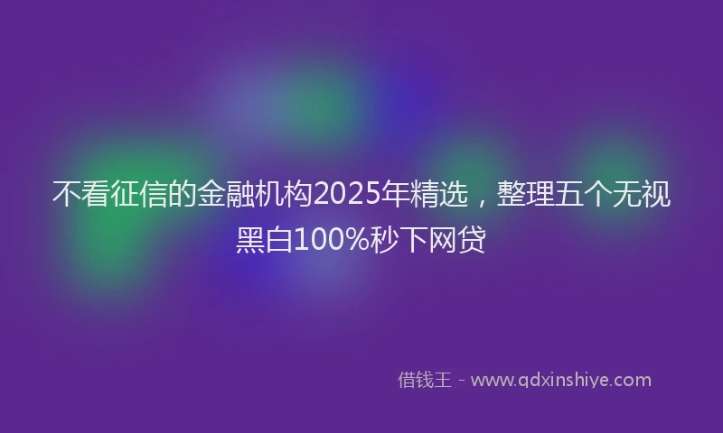 不看征信的金融机构2025年精选，整理五个无视黑白100%秒下网贷