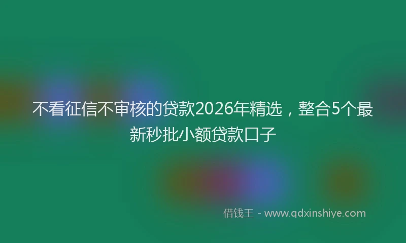 不看征信不审核的贷款2026年精选，整合5个最新秒批小额贷款口子
