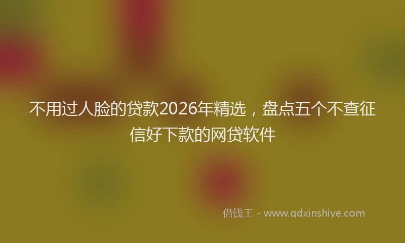 不用过人脸的贷款2026年精选，盘点五个不查征信好下款的网贷软件