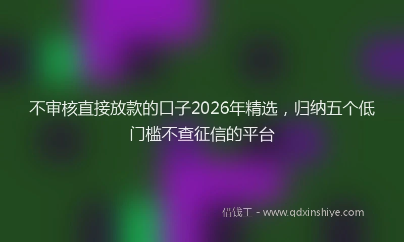 不审核直接放款的口子2026年精选，归纳五个低门槛不查征信的平台