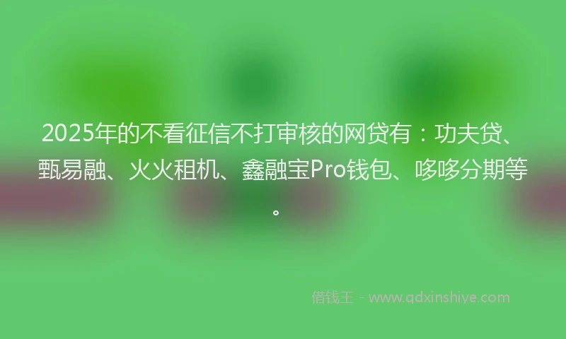 2025年的不看征信不打审核的网贷有：功夫贷、甄易融、火火租机、鑫融宝Pro钱包、哆哆分期等。