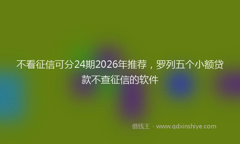 不看征信可分24期2026年推荐，罗列五个小额贷款不查征信的软件