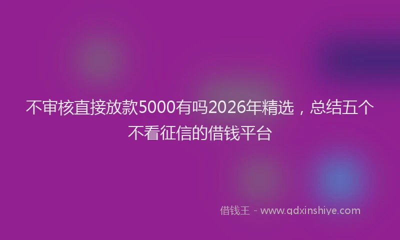 不审核直接放款5000有吗2026年精选，总结五个不看征信的借钱平台