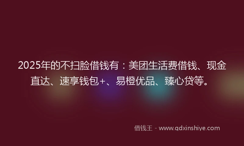 2025年的不扫脸借钱有：美团生活费借钱、现金直达、速享钱包+、易橙优品、臻心贷等。