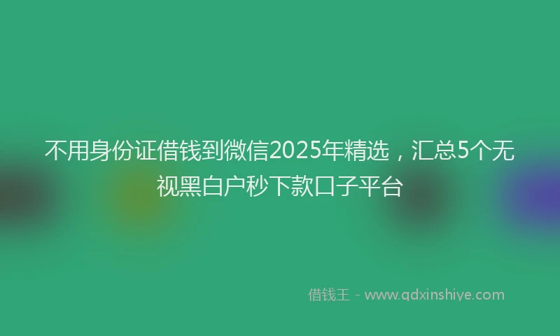 不用身份证借钱到微信2025年精选,汇总5个无视黑白户秒下款口子平台