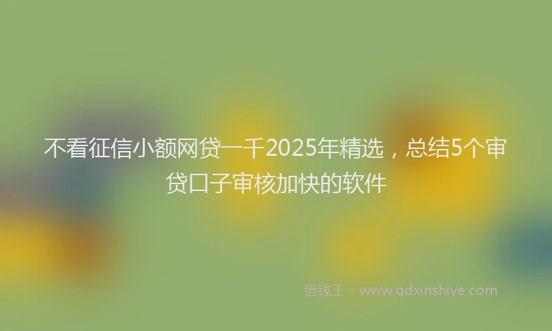 不看征信小额网贷一千2025年精选，总结5个审贷口子审核加快的软件