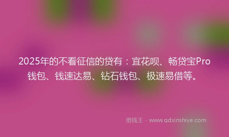 2025年的不看征信的贷有：宜花呗、畅贷宝Pro钱包、钱速达易、钻石钱包、极速易借等。