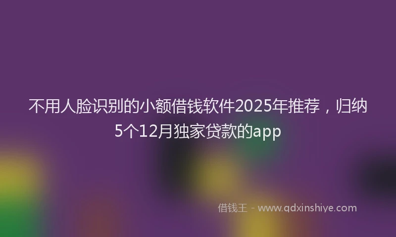 不用人脸识别的小额借钱软件2025年推荐，归纳5个12月独家贷款的app