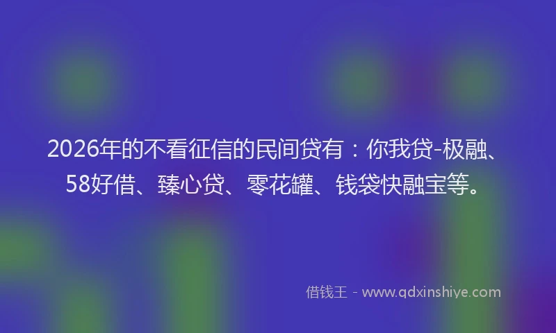 2026年的不看征信的民间贷有：你我贷-极融、58好借、臻心贷、零花罐、钱袋快融宝等。