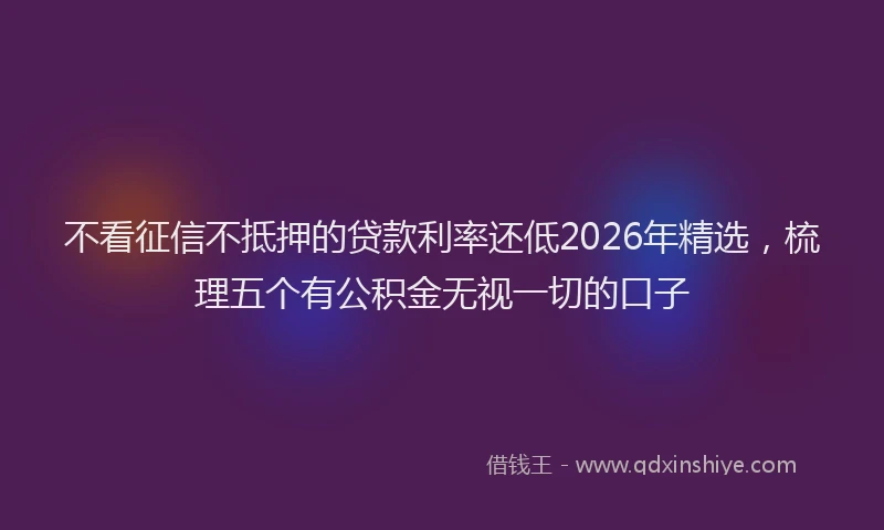 不看征信不抵押的贷款利率还低2026年精选，梳理五个有公积金无视一切的口子