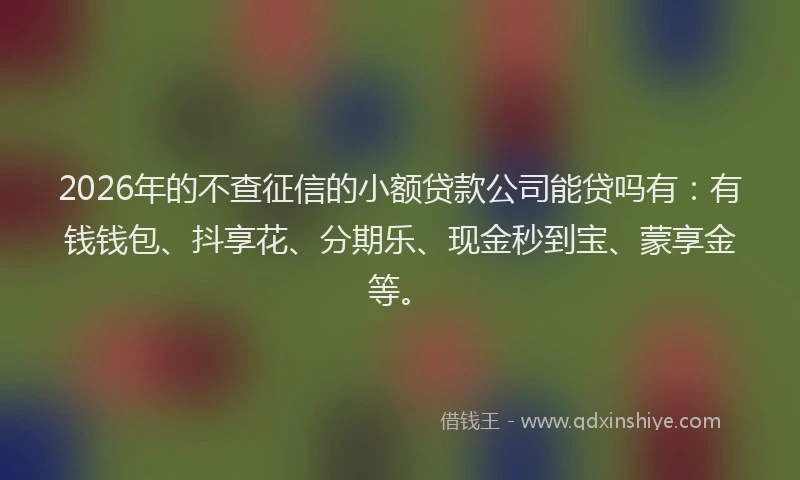 2026年的不查征信的小额贷款公司能贷吗有:有钱钱包、抖享花、分期乐、现金秒到宝、蒙享金等。