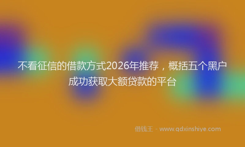 不看征信的借款方式2026年推荐，概括五个黑户成功获取大额贷款的平台