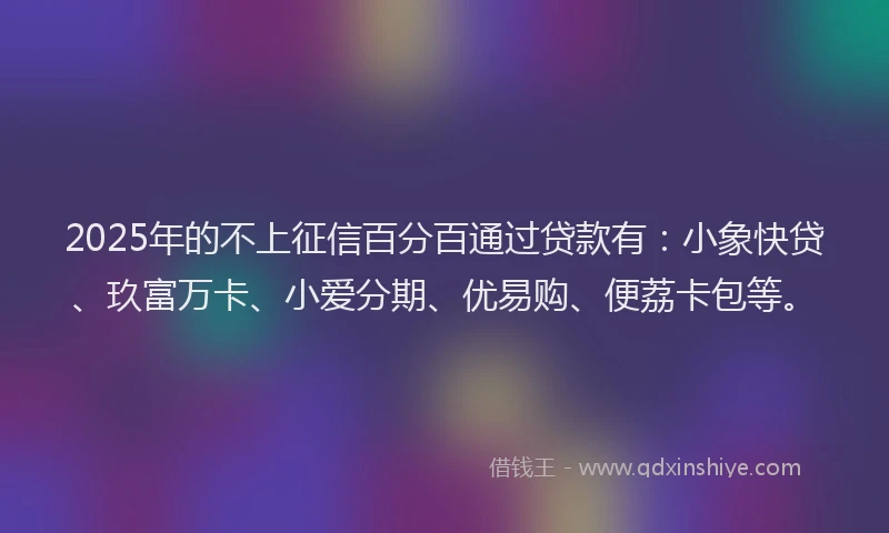 2025年的不上征信百分百通过贷款有：小象快贷、玖富万卡、小爱分期、优易购、便荔卡包等。