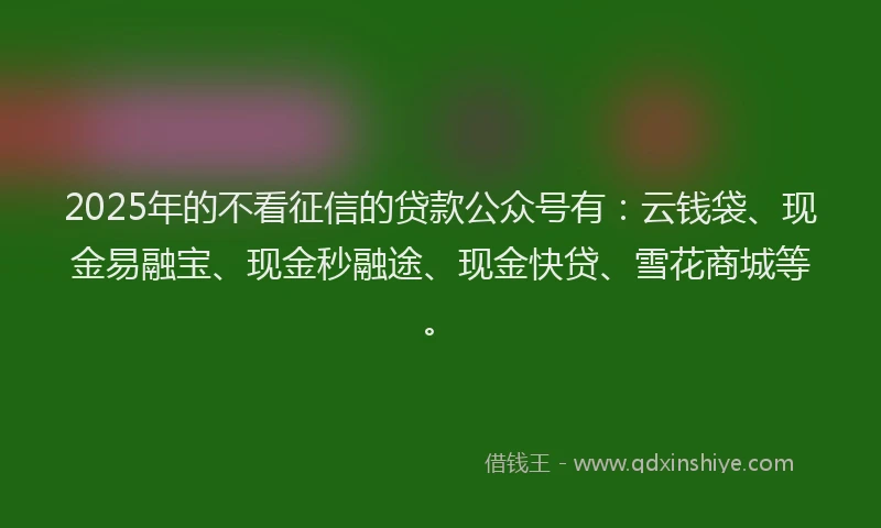 2025年的不看征信的贷款公众号有：云钱袋、现金易融宝、现金秒融途、现金快贷、雪花商城等。