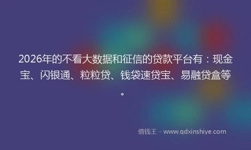 2026年的不看大数据和征信的贷款平台有：现金宝、闪银通、粒粒贷、钱袋速贷宝、易融贷盒等。