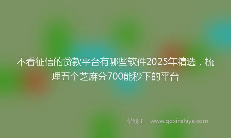 不看征信的贷款平台有哪些软件2025年精选，梳理五个芝麻分700能秒下的平台
