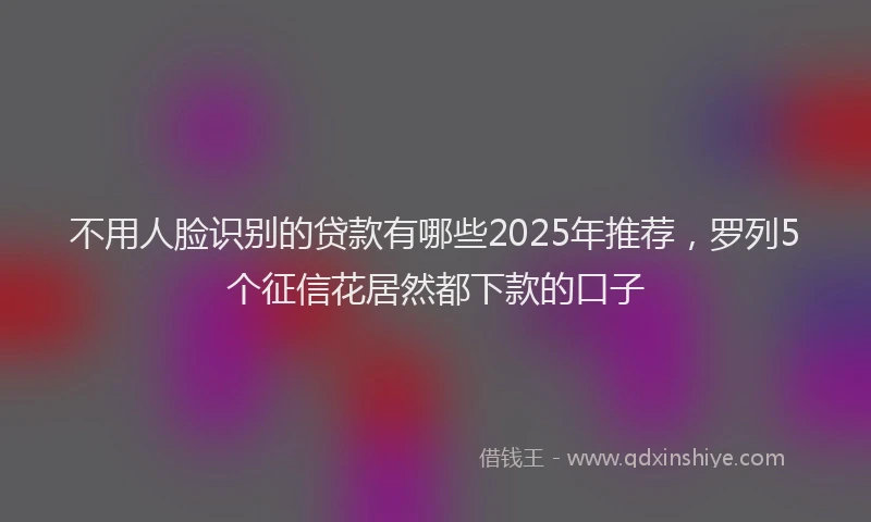 不用人脸识别的贷款有哪些2025年推荐,罗列5个征信花居然都下款的口子