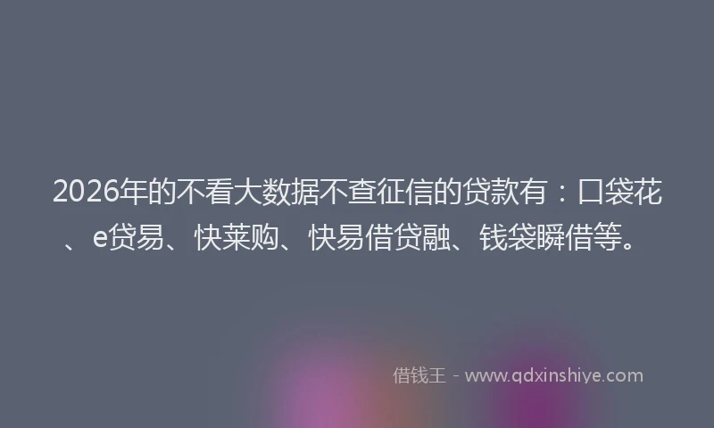 2026年的不看大数据不查征信的贷款有：口袋花、e贷易、快莱购、快易借贷融、钱袋瞬借等。